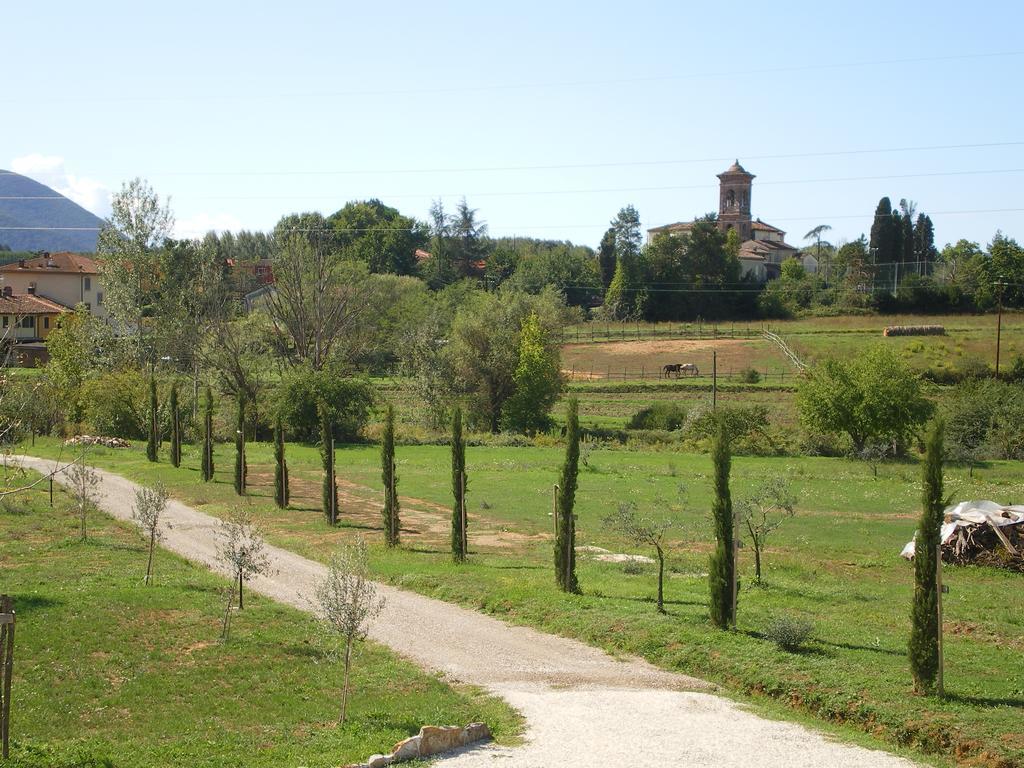 Agriturismo Ai Linchi Lucca Exterior photo